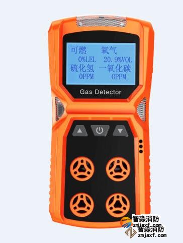 可燃性氣體檢測儀